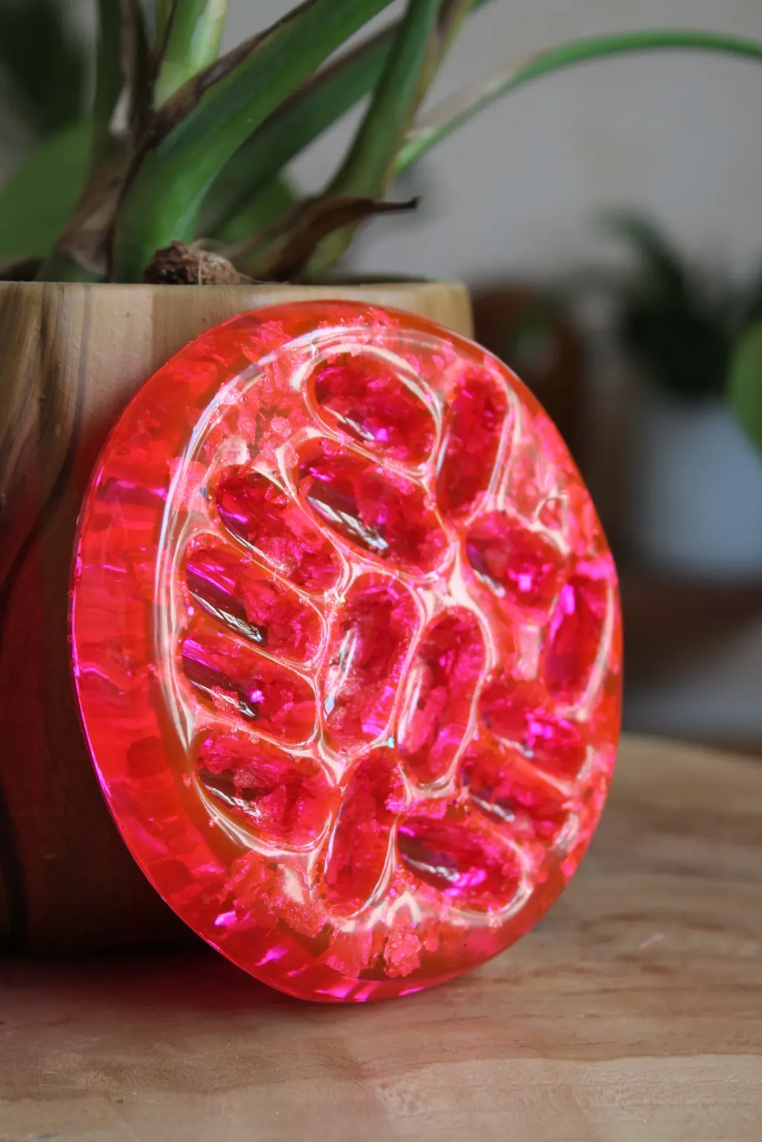 Coupelle à bijoux rose translucide sculptée en forme de graine de lotus, posée près d'une plante.