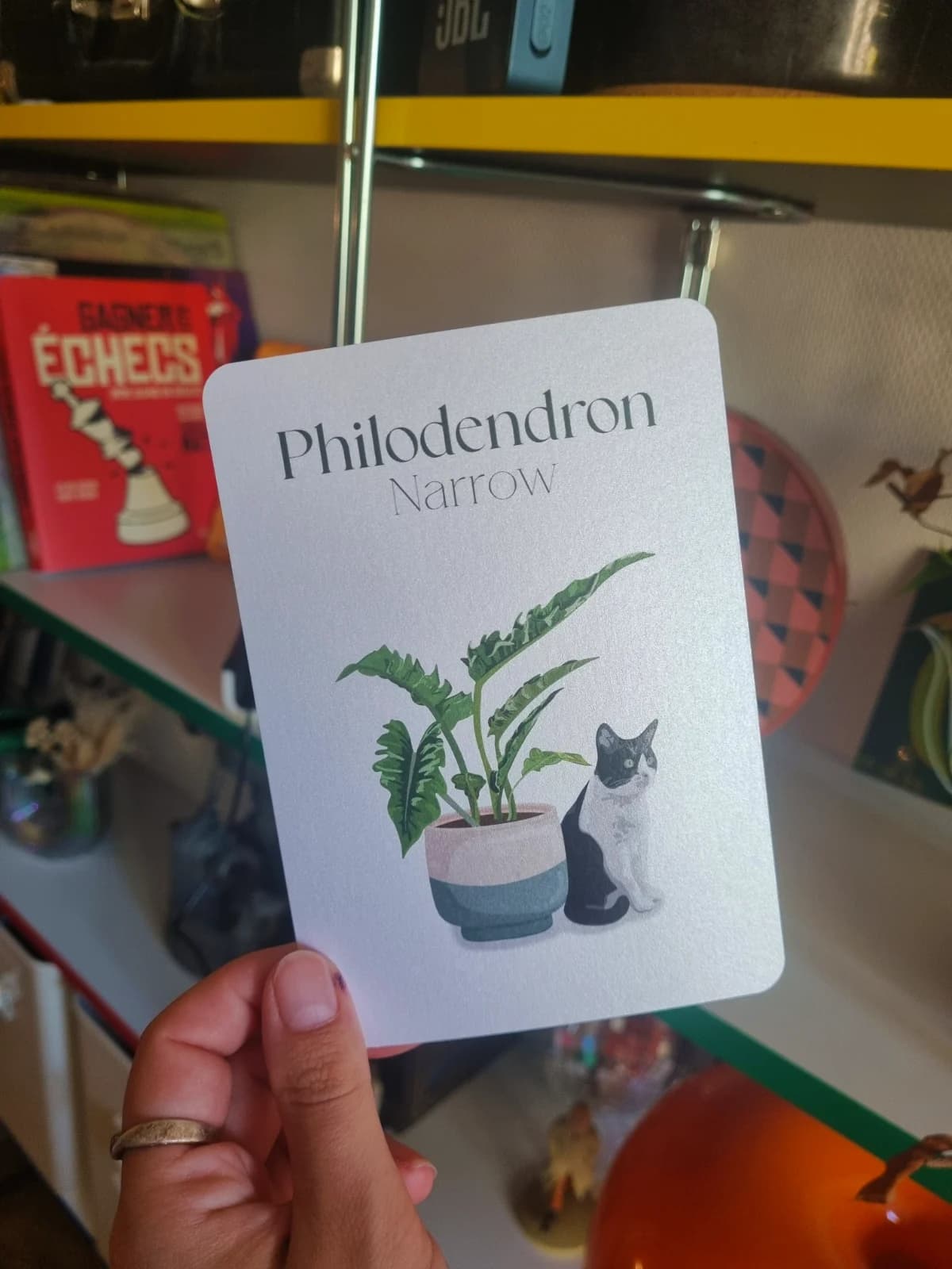 Carte illustrée tenue en main avec chat noir et blanc assis à côté d'un pot de philodendron.