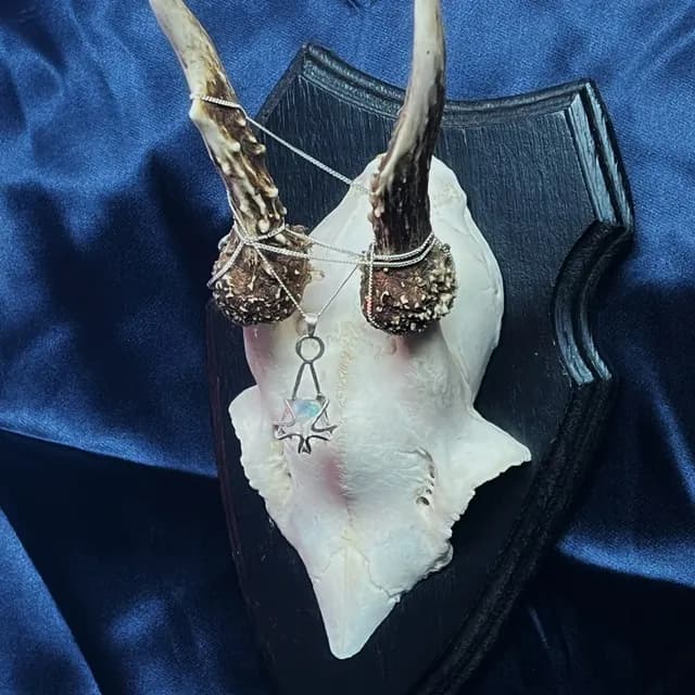 Collier pendentif en argent avec opale présenté sur un crâne d'animal et socle en bois noir