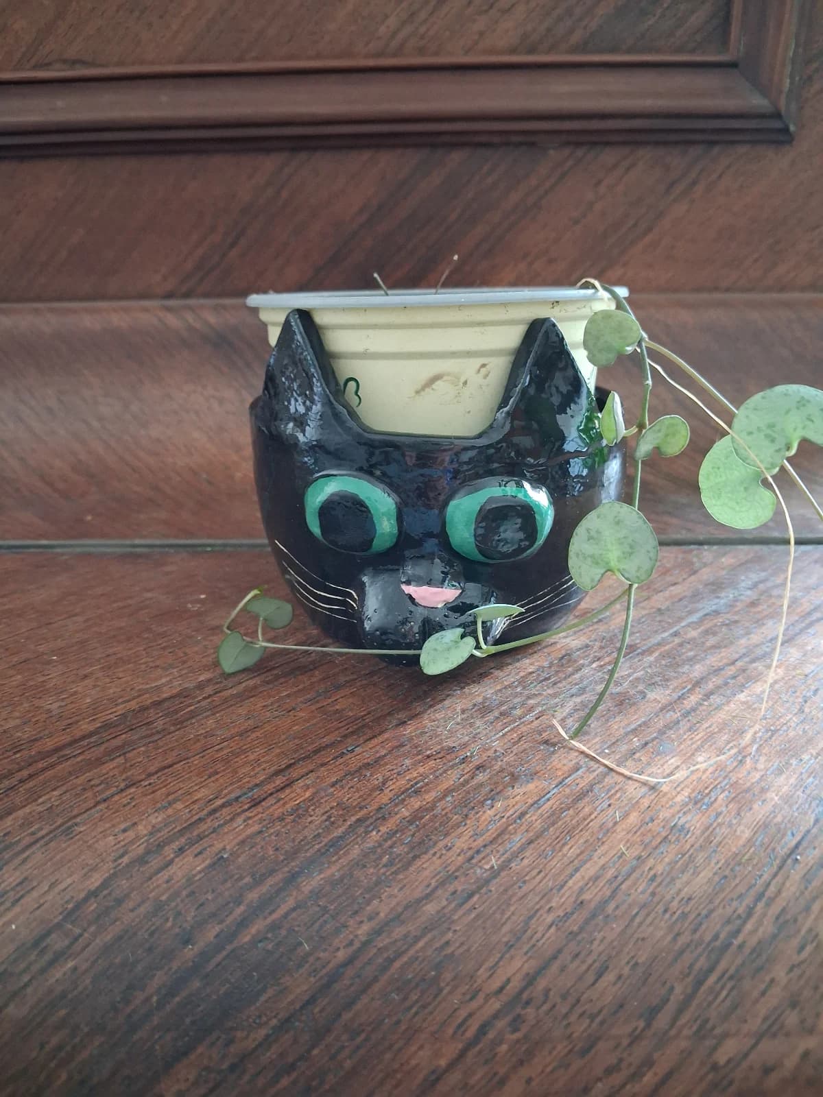 Cache-pot en céramique tête de chat noir accueillant une petite plante verte aux tiges retombantes.