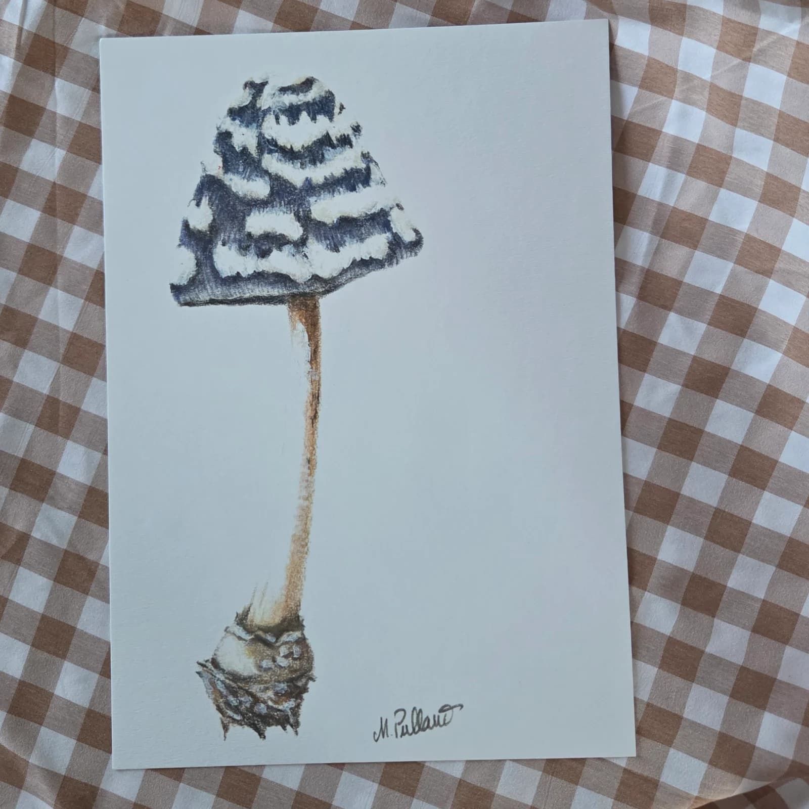 Illustration champignon bleu
